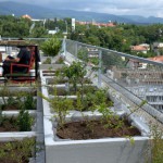 urbani vrt Iblerov neboder- Hausbau magazin
