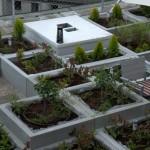 urbani vrt Iblerov neboder- Hausbau magazin
