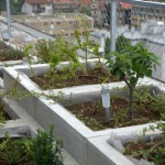 urbani vrt Iblerov neboder- Hausbau magazin