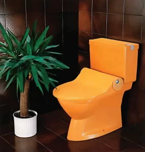 Pročitajte više o članku Geberit – Tuš WC uređaji za bolju higijenu